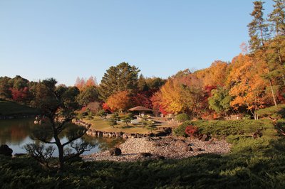 🌳 아이치현 쇼와의 숲 (아이치켄 쇼와노모리)